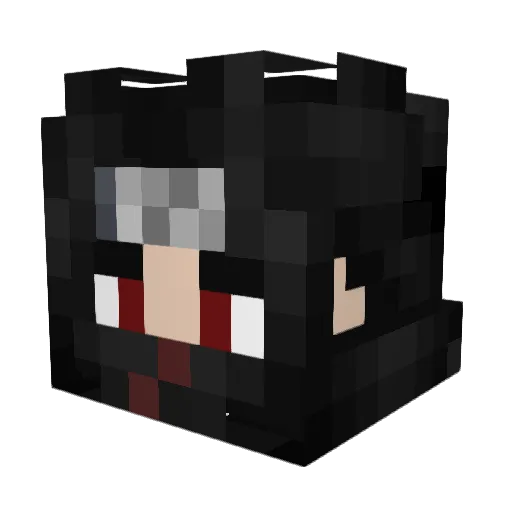 Shakez9 Minecraft avatar head, 3D render