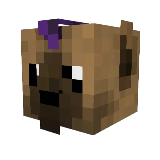ShakierWinter Minecraft avatar head, 3D render