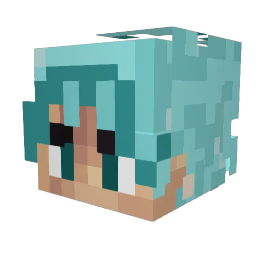 Shaklaf Minecraft avatar head, 3D render