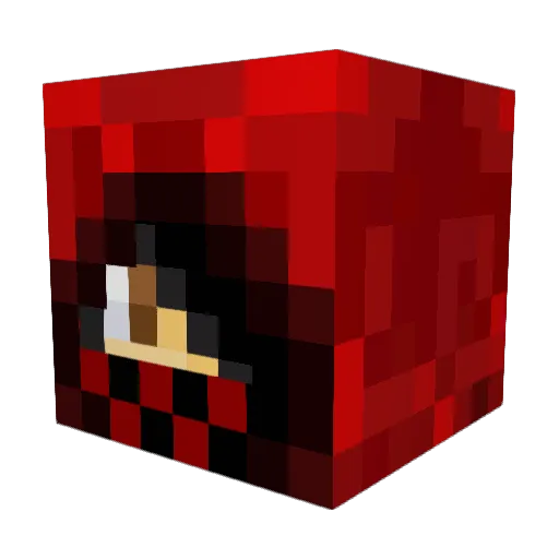 Shakon911 Minecraft avatar head, 3D render