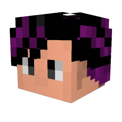 Shakunage3 Minecraft avatar head, 3D render