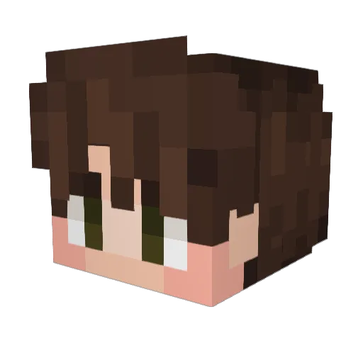 ShakyBTW Minecraft avatar head, 3D render