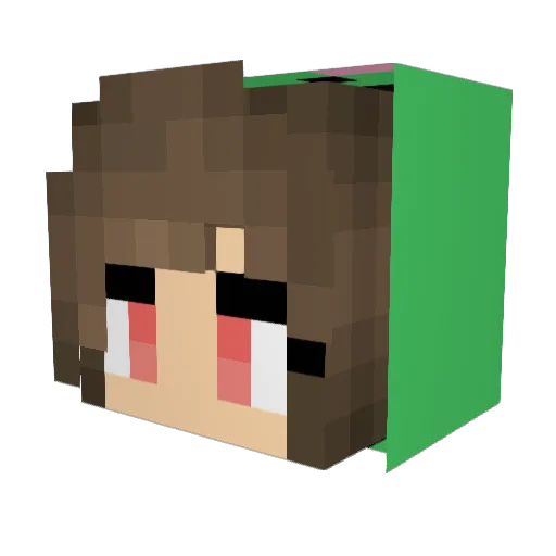 Shale12 Minecraft avatar head, 3D render