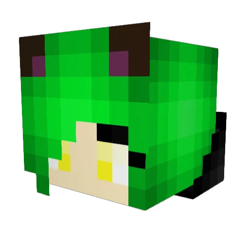 Shaliek Minecraft avatar head, 3D render