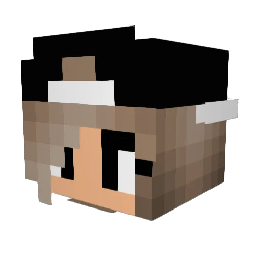 Shalimar06 Minecraft avatar head, 3D render
