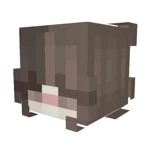 Shalinixx Minecraft avatar head, 3D render