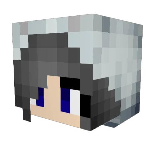 Shalize912 Minecraft avatar head, 3D render