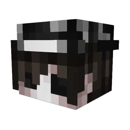 Shallirus1337 Minecraft avatar head, 3D render