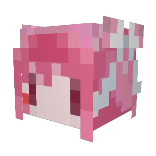 Shallowdream616 Minecraft avatar head, 3D render