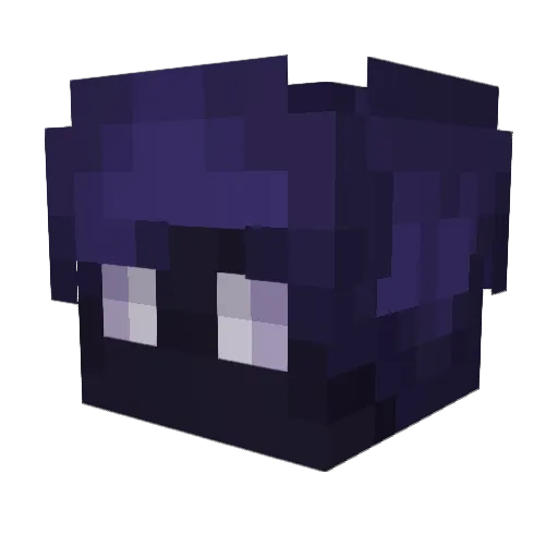 ShallowedVoid Minecraft avatar head, 3D render