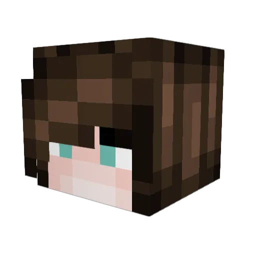 Shallowww Minecraft avatar head, 3D render