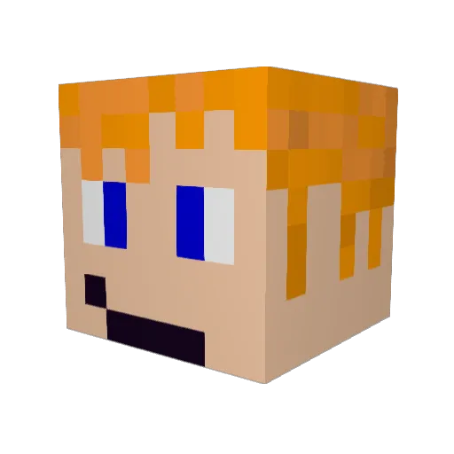 Shally22 Minecraft avatar head, 3D render
