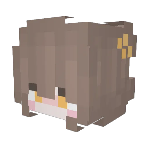 Shalosho Minecraft avatar head, 3D render