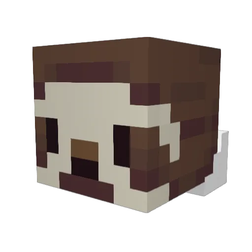 Shalufish Minecraft avatar head, 3D render