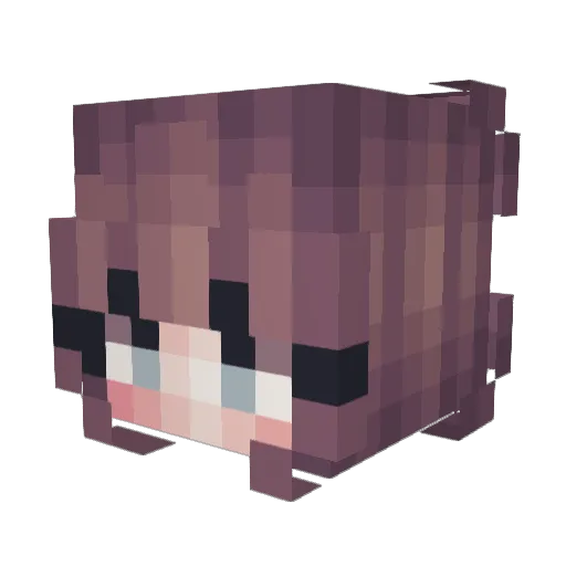 Sham232 Minecraft avatar head, 3D render