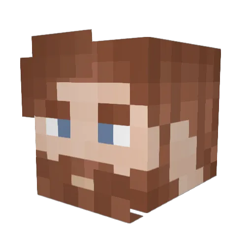 Sham404 Minecraft avatar head, 3D render