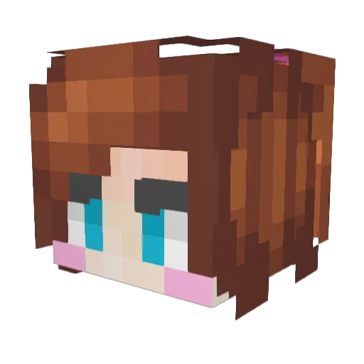 ShamRockFox Minecraft avatar head, 3D render