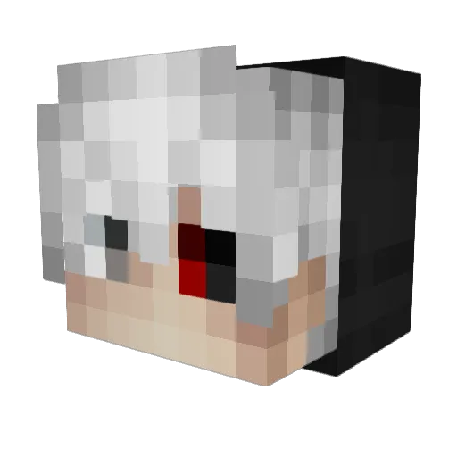 ShameCrypt Minecraft avatar head, 3D render