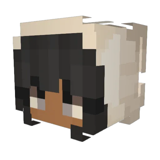 Shame_ful_ Minecraft avatar head, 3D render