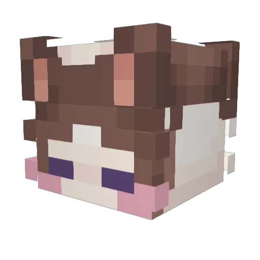 ShamefulDuckling Minecraft avatar head, 3D render