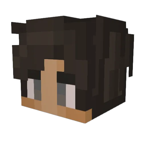 Shamie1 Minecraft avatar head, 3D render