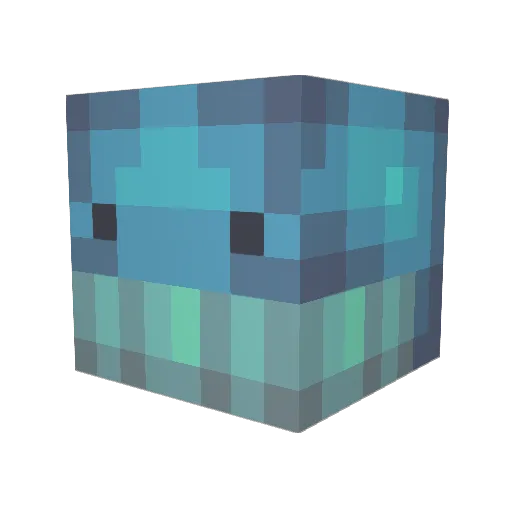 Shamoo_DaWhale Minecraft avatar head, 3D render