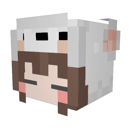 Shamp00 Minecraft avatar head, 3D render