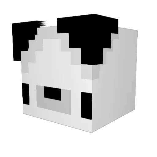 Shampoochy Minecraft avatar head, 3D render