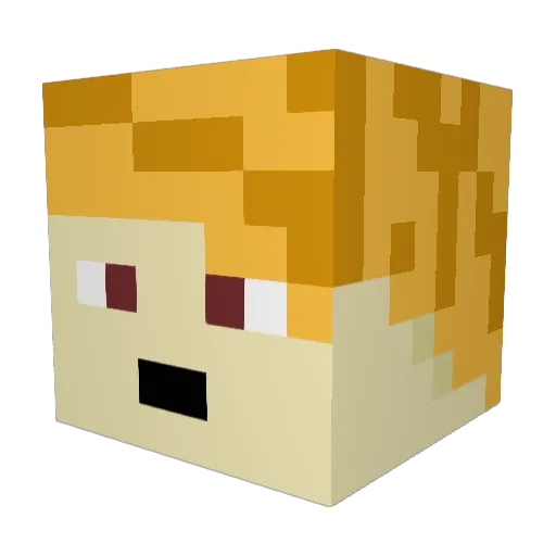 Shampunne Minecraft avatar head, 3D render