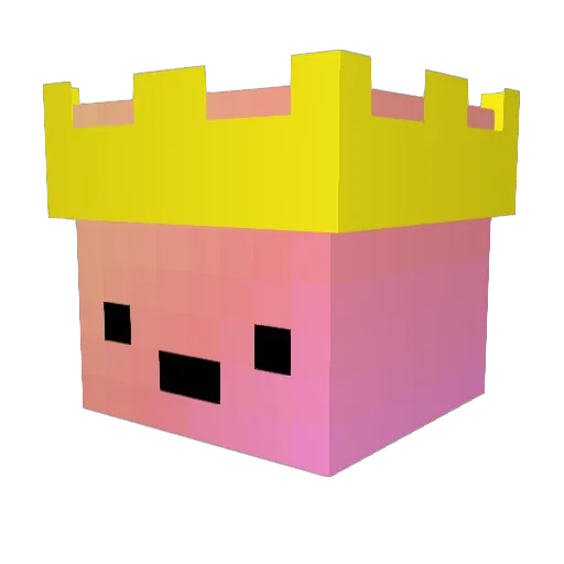 Shamtown4 Minecraft avatar head, 3D render