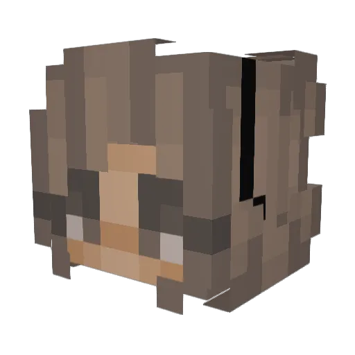 Shamu29 Minecraft avatar head, 3D render