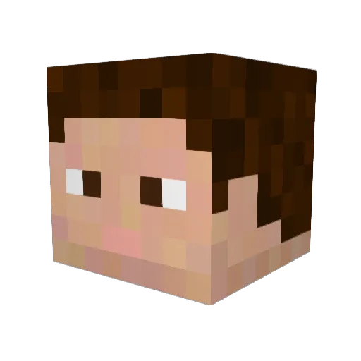 Shamus03 Minecraft avatar head, 3D render
