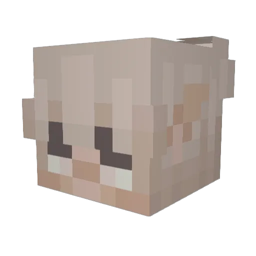 Shamusma Minecraft avatar head, 3D render