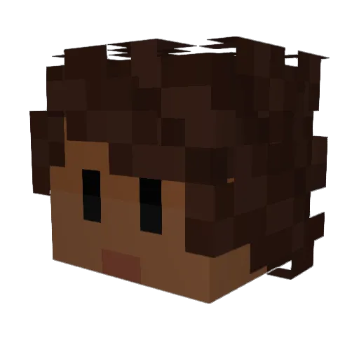 Shamwarizim_ Minecraft avatar head, 3D render