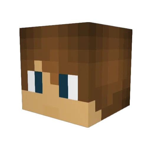 Shamwooster Minecraft avatar head, 3D render