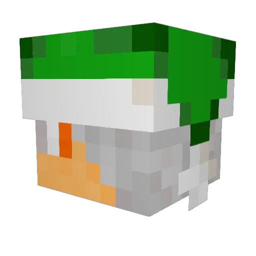 Shan0o0on Minecraft avatar head, 3D render