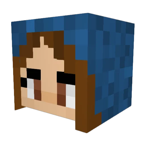 Shan2203 Minecraft avatar head, 3D render