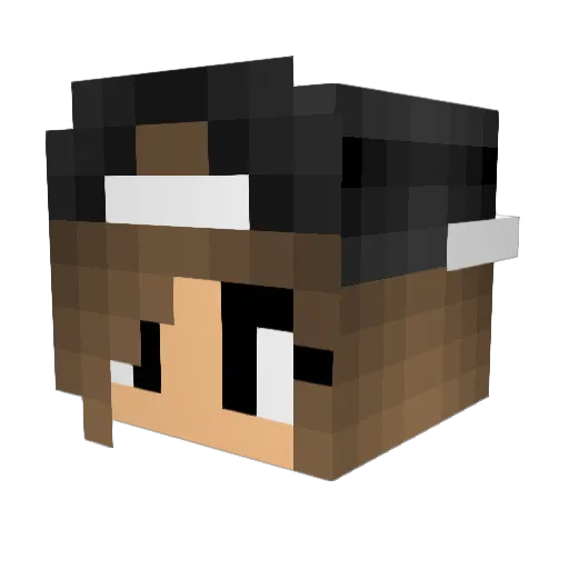 ShanFTW Minecraft avatar head, 3D render