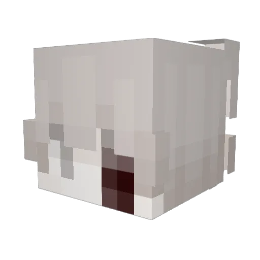 ShanScary Minecraft avatar head, 3D render