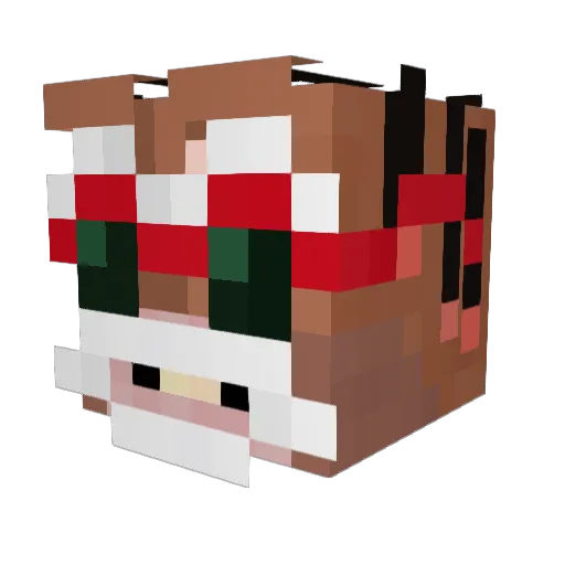 Shan_74 Minecraft avatar head, 3D render
