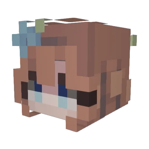 Shanabanana89 Minecraft avatar head, 3D render