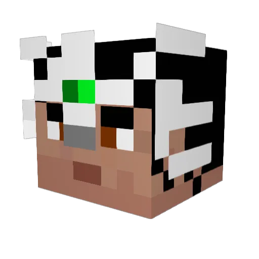 Shanahan09 Minecraft avatar head, 3D render