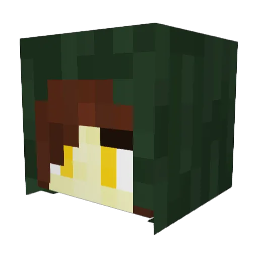 Shanalotte_ Minecraft avatar head, 3D render