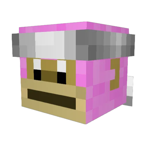 Shandezz Minecraft avatar head, 3D render
