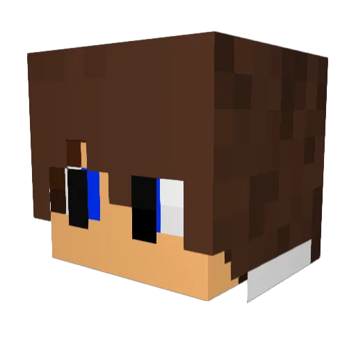 Shandlor Minecraft avatar head, 3D render