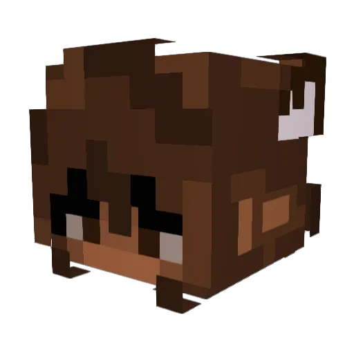 Shandrea Minecraft avatar head, 3D render