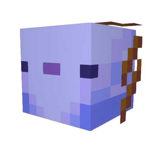Shane12345678 Minecraft avatar head, 3D render