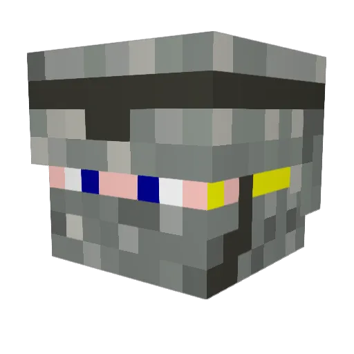 Shane2208 Minecraft avatar head, 3D render
