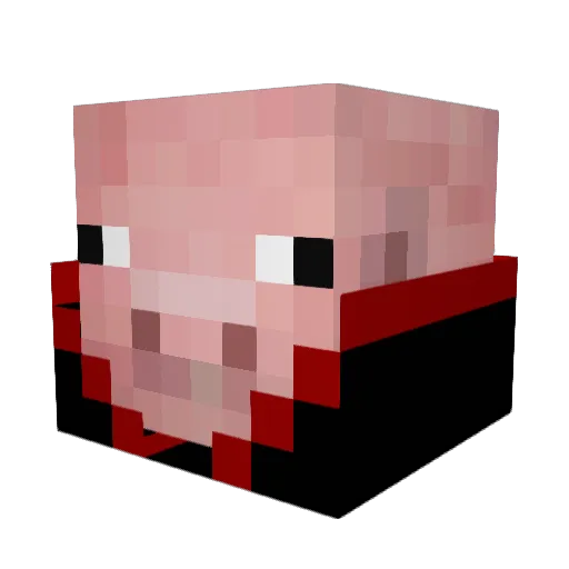 ShanePHD Minecraft avatar head, 3D render
