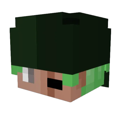ShaneWhalez345 Minecraft avatar head, 3D render